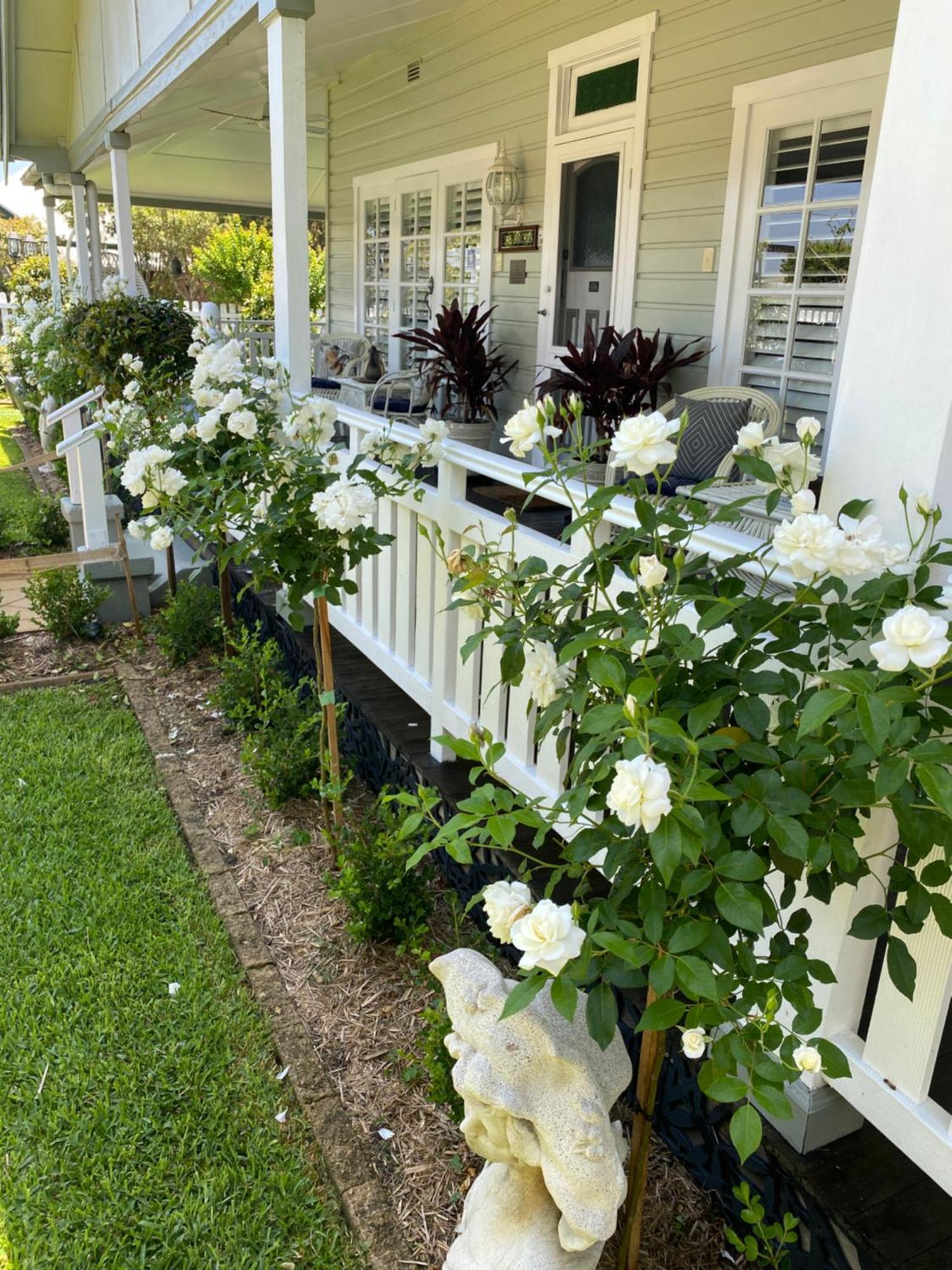 Birches B&B ทารี ภายนอก รูปภาพ